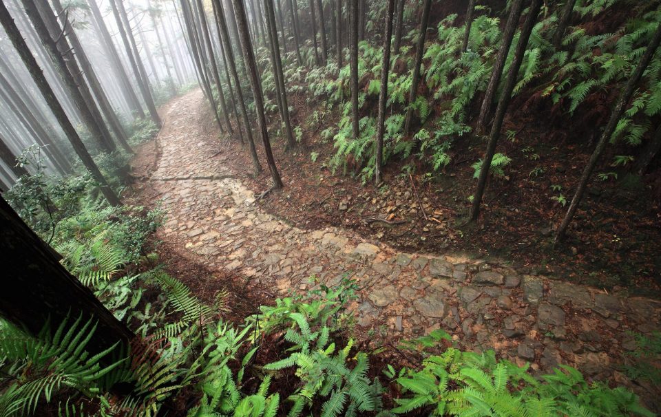Kumano Kodo Pilgrimage Route