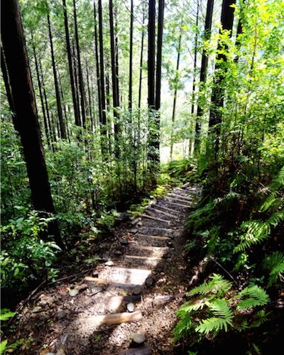 Kumao Kodo, Japan trail