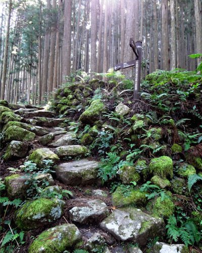 Kumao Kodo, Japan trail
