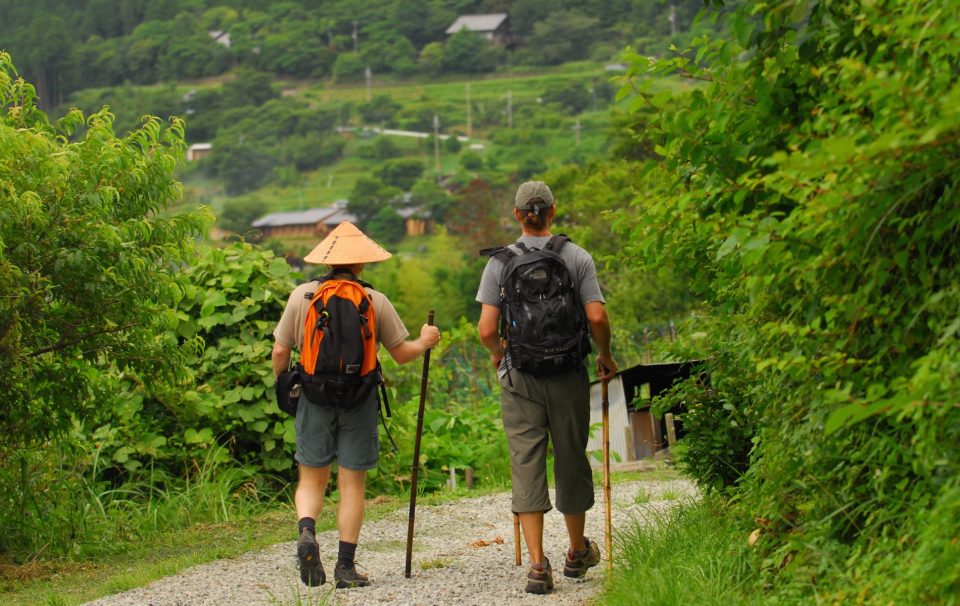 walking along a tree lined Kumano Kodo Trek