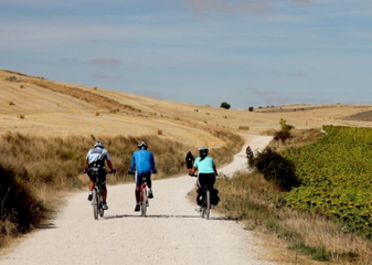 Cyclists on the Camino
