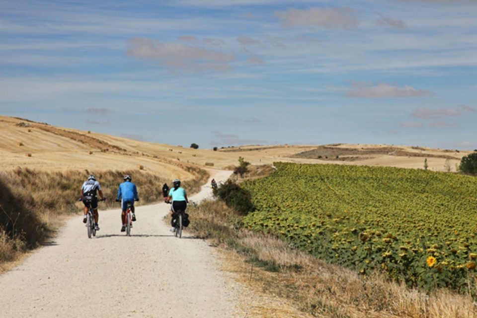 3 cyclists along Camino