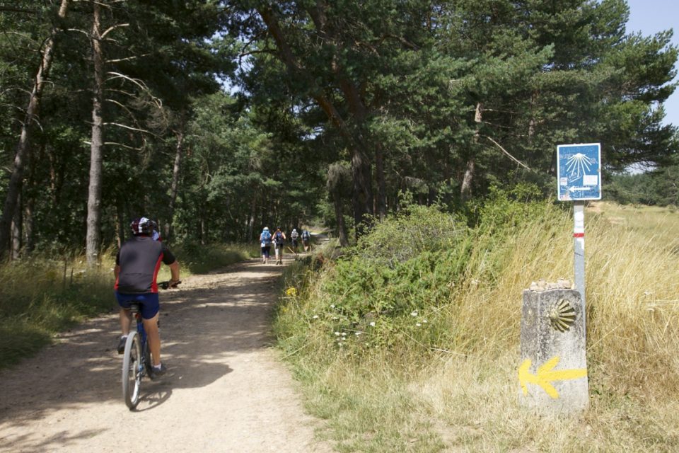 Cyclist on Camino path