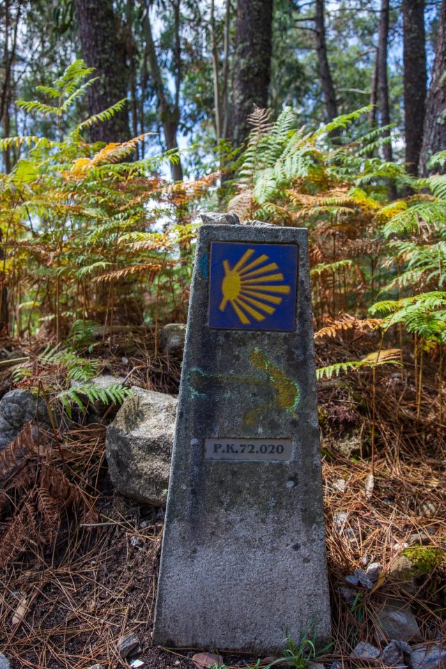 Walking Camino marker