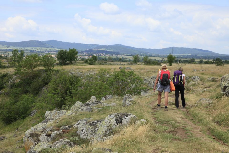 Camino_spain_gallery0004
