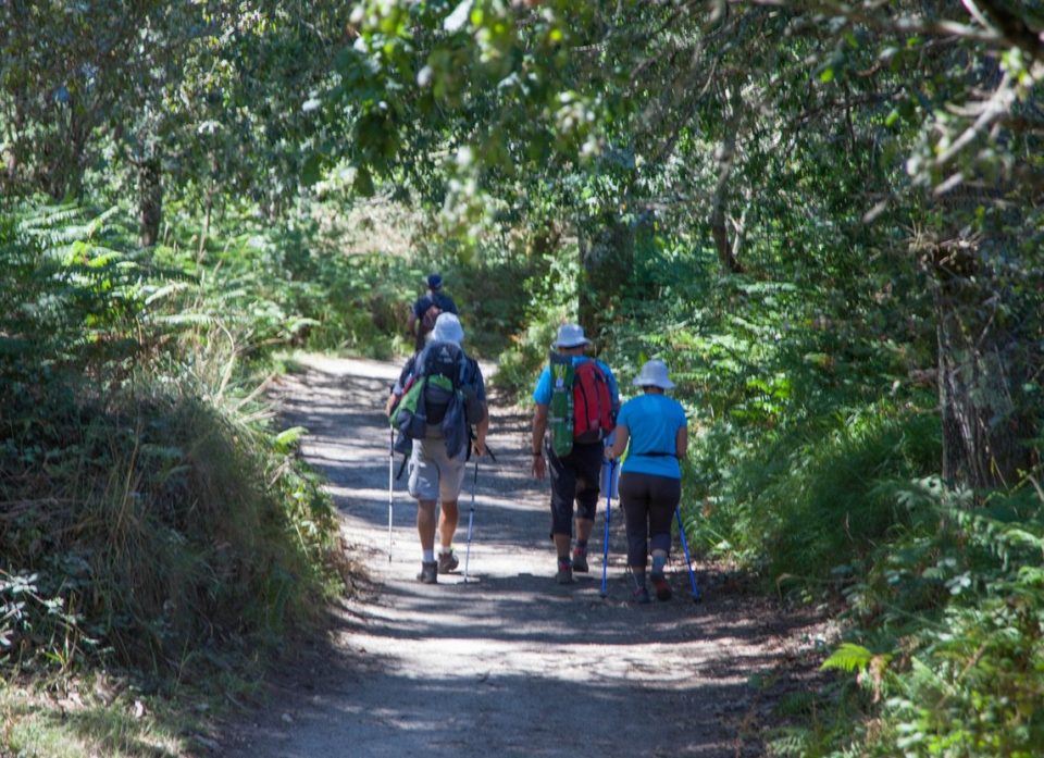 walkers along the Camino