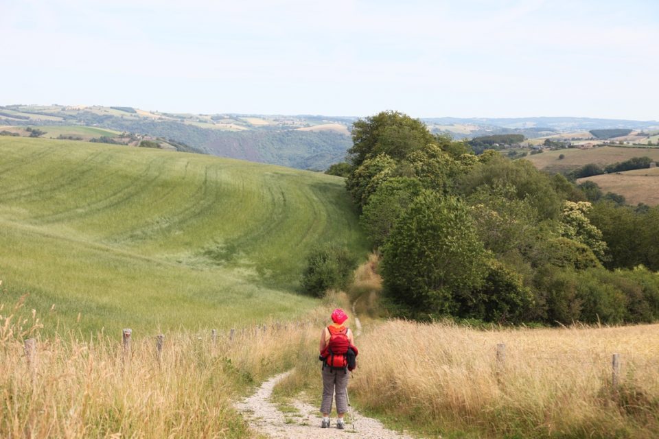 Camino