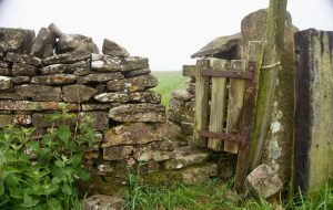 Stone walls and gate on Coast to Coast path UK