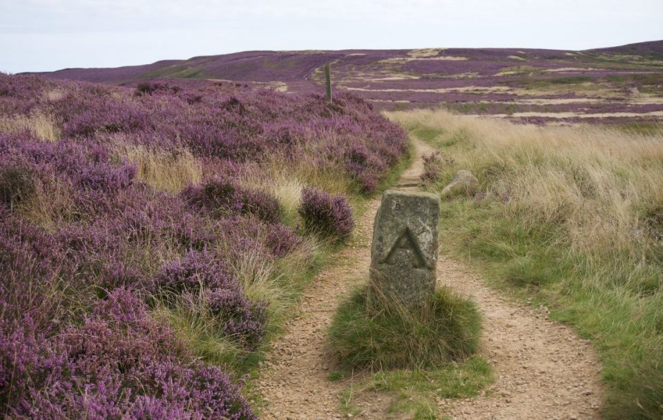 A section of the path on the Coast to Coast walk.