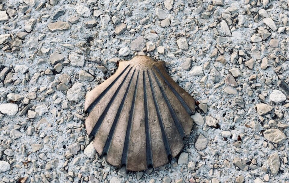 Camino Shell route marker
