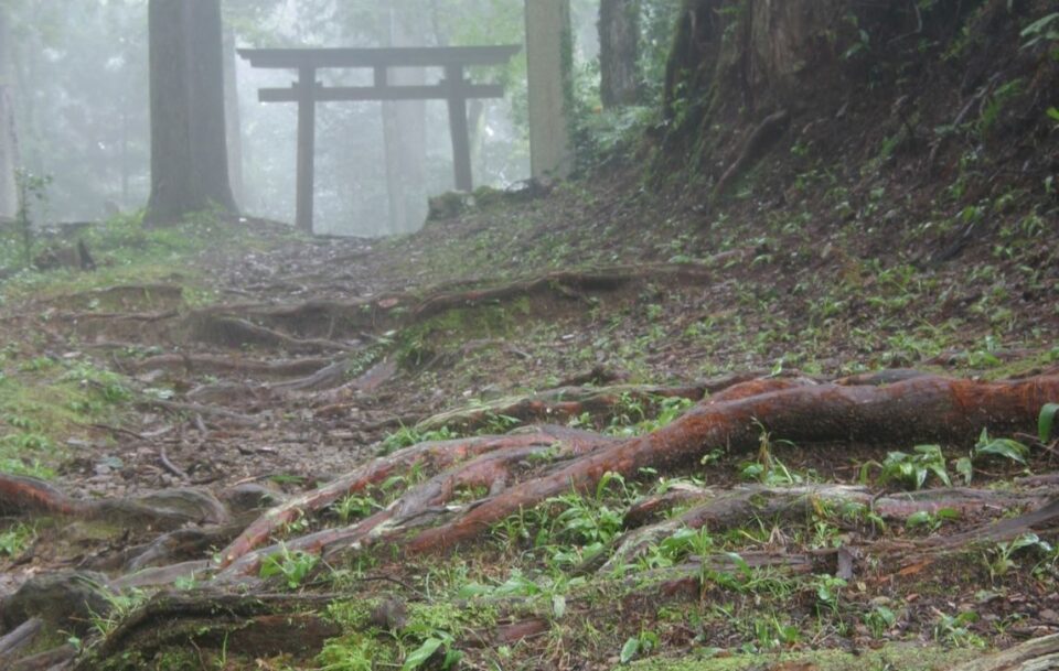 misty path leading to ancient Japanese temple on Kumano Kodo Trail.