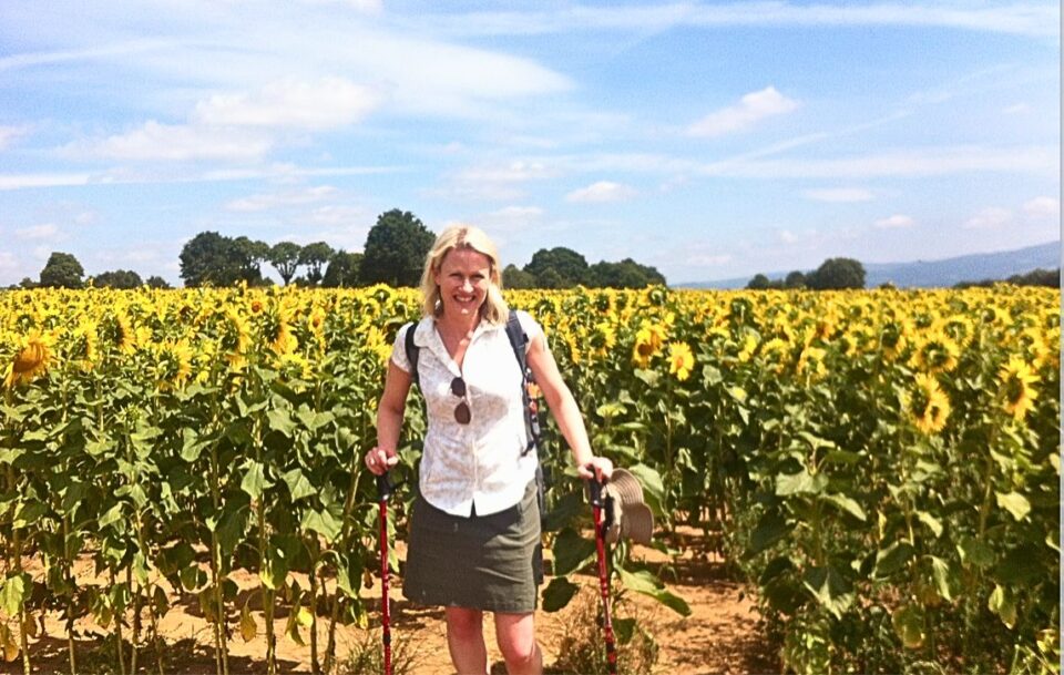 Hiker standing in front of sunflower field