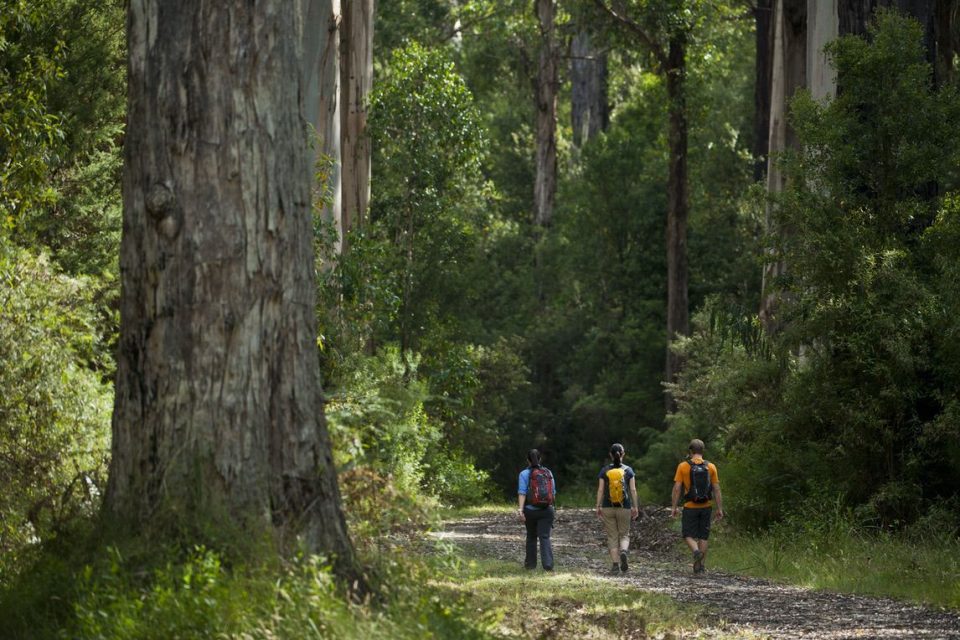 People walking along Elliot Ridge