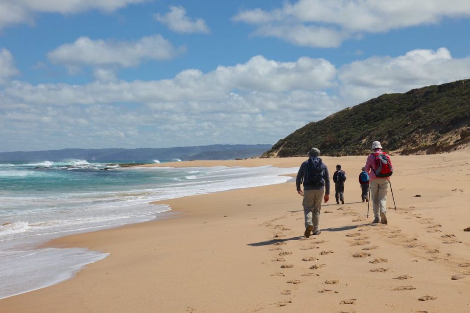 Hikers walking along the beach on the Great Ocean Walk.