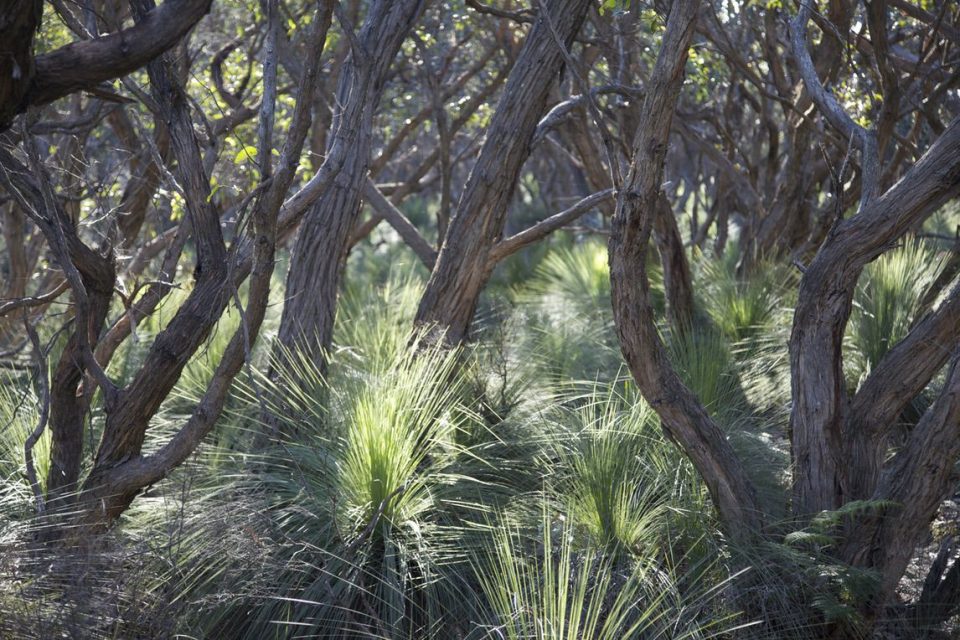 Great Ocean walk_gallery0005