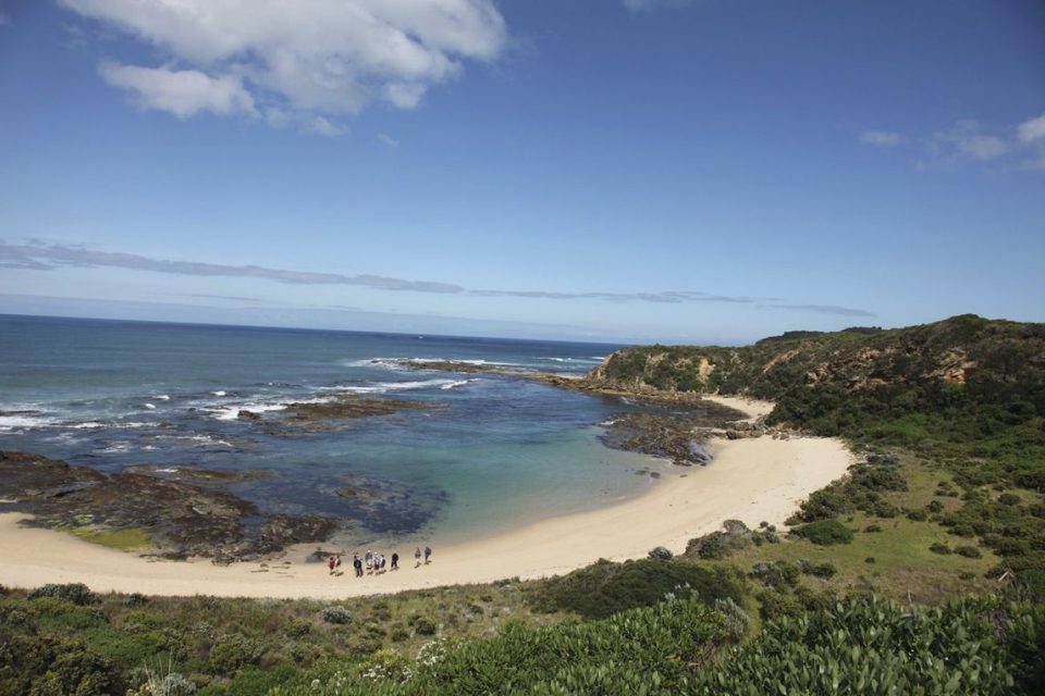 Beautiful beaches on the Great Ocean Walk.