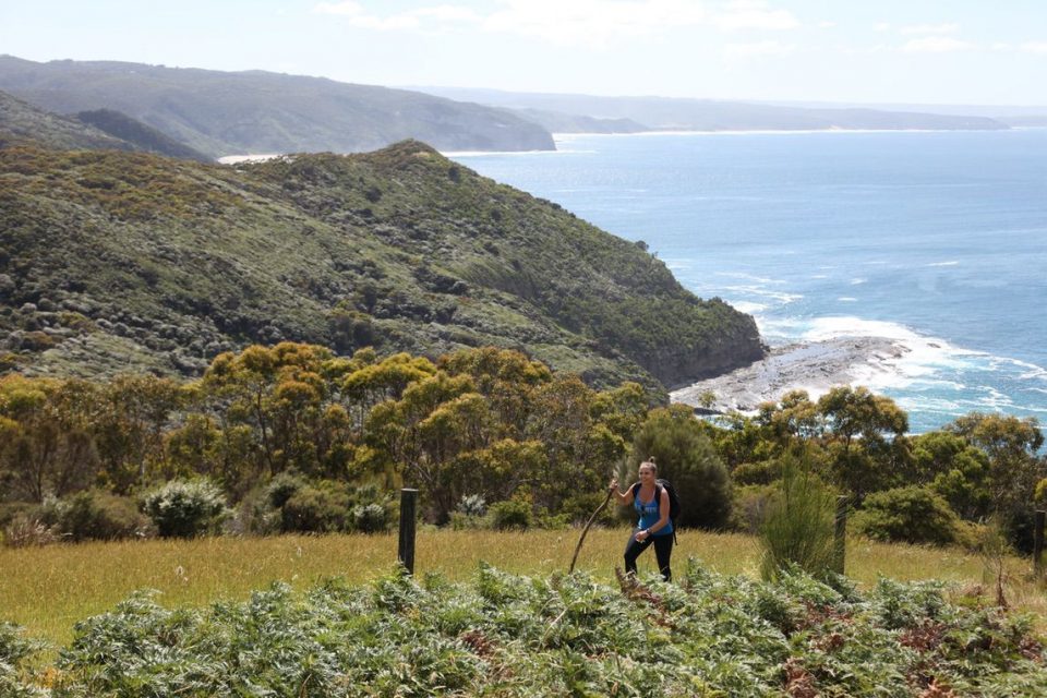 Great Ocean walk_gallery0009