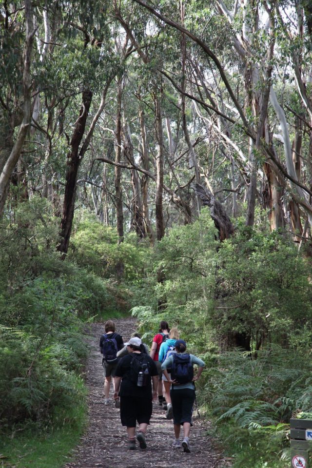 Great Ocean walk_gallery0019