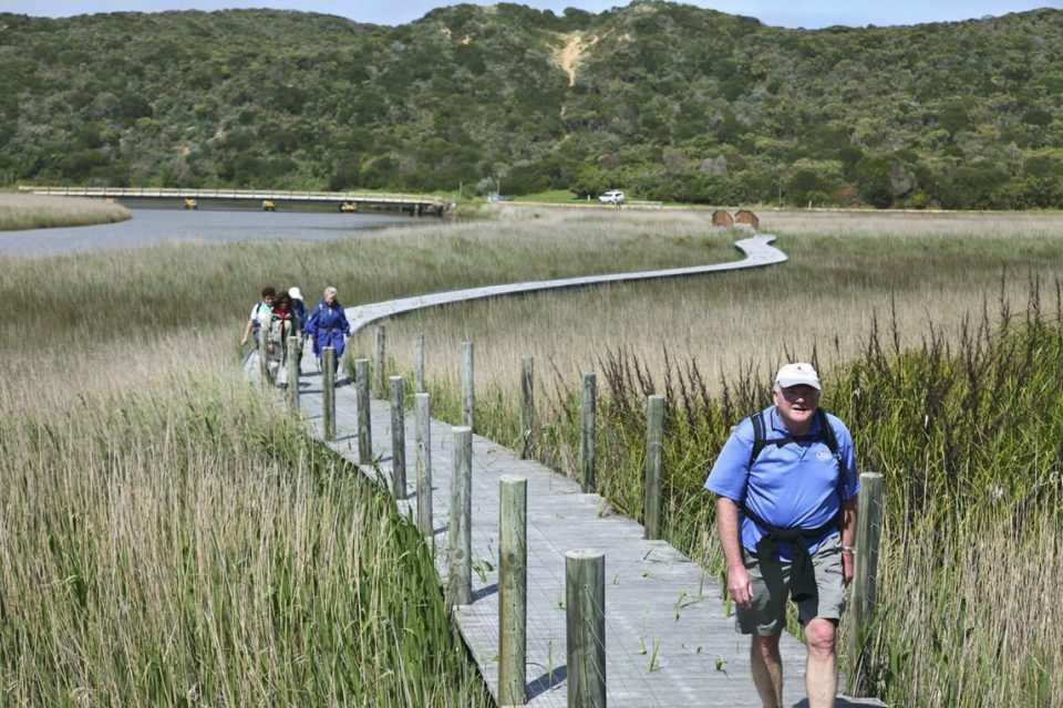 A hiker on the Great Ocean walk. 