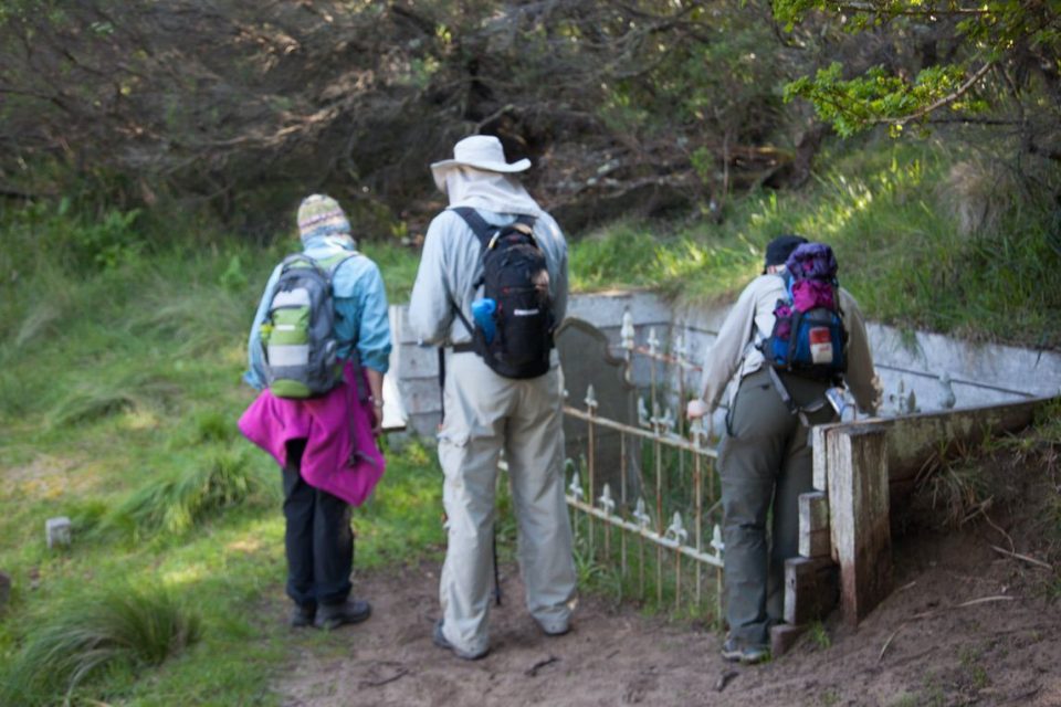 Great Ocean walk_gallery0120