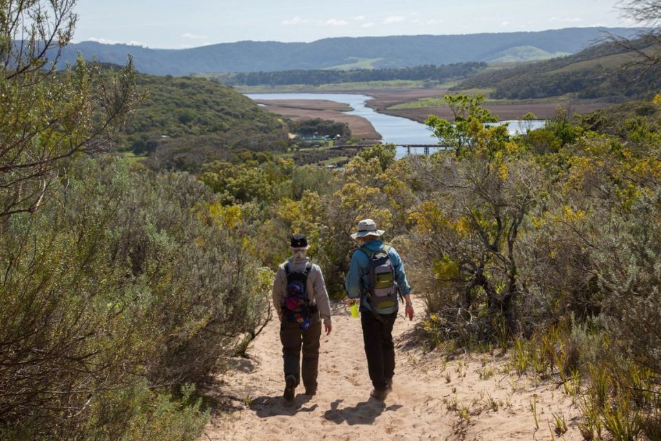 Great Ocean walk_gallery0124