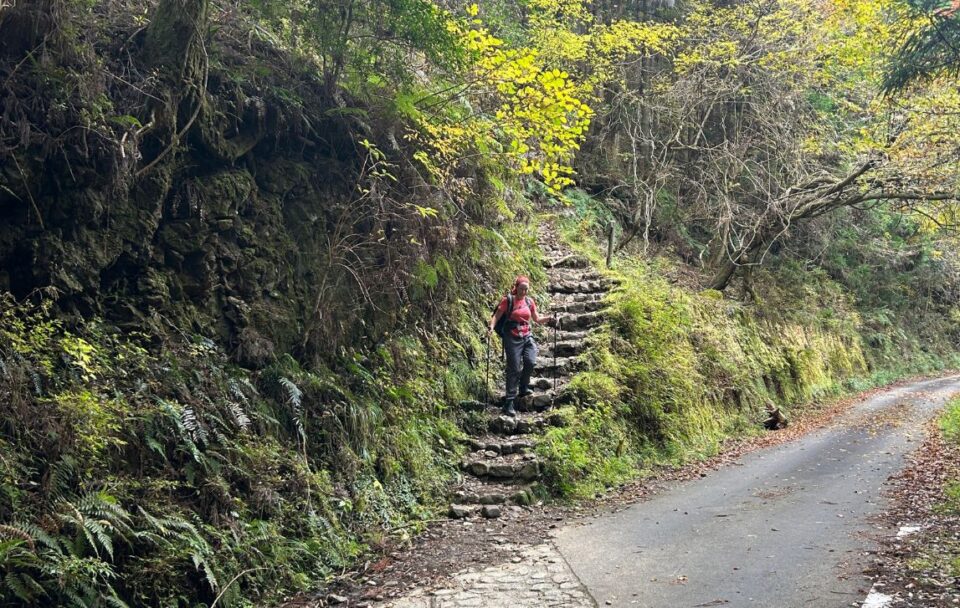 Hiking in Japan - Kumano Kodo