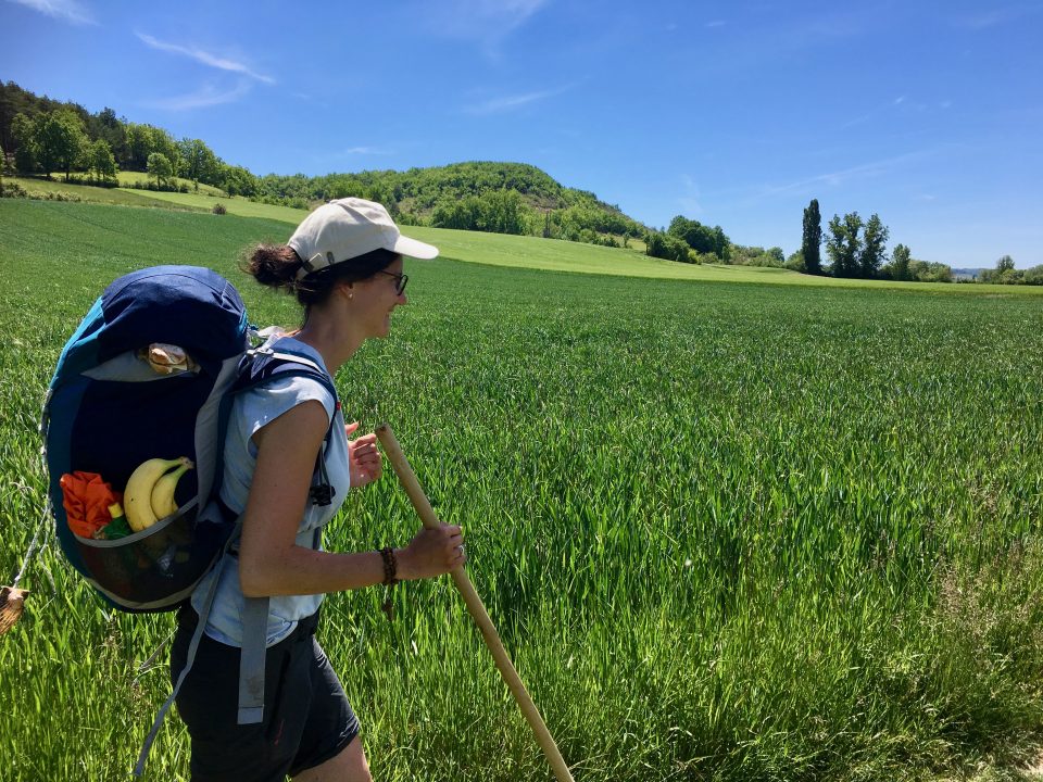 A female hiker walking through a vibrant green field on the Le Puy Camino route in France on a sunny day.