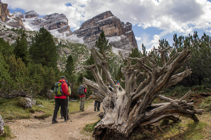 Dolomites hikers
