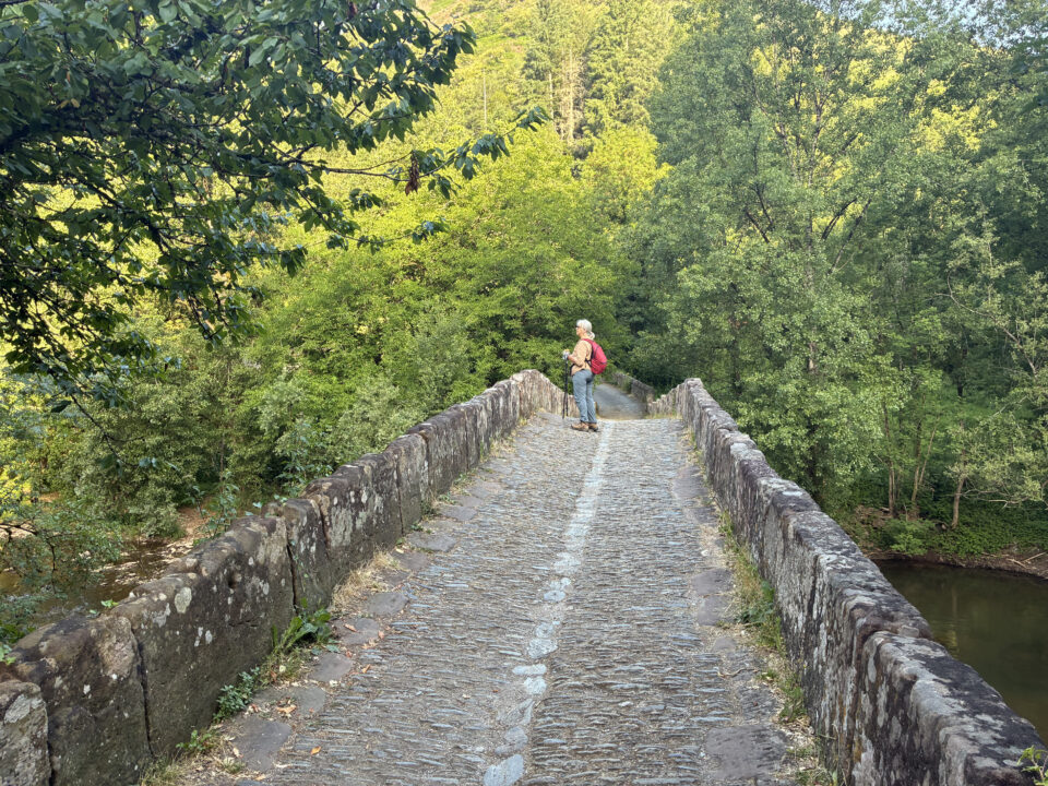 Le Puy Camino