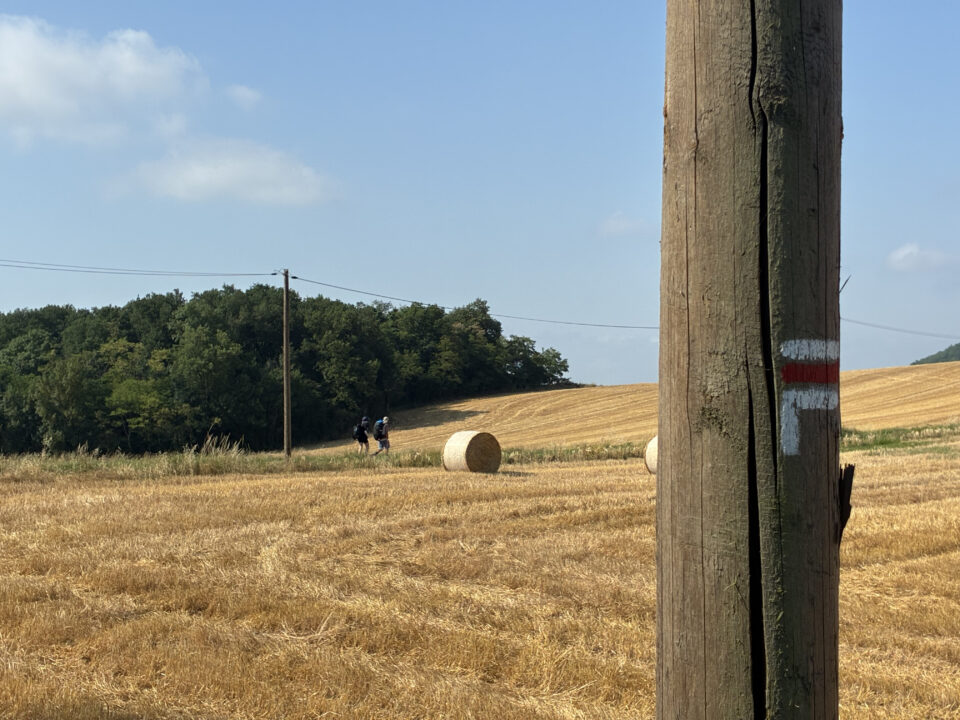 Cahors to Condom