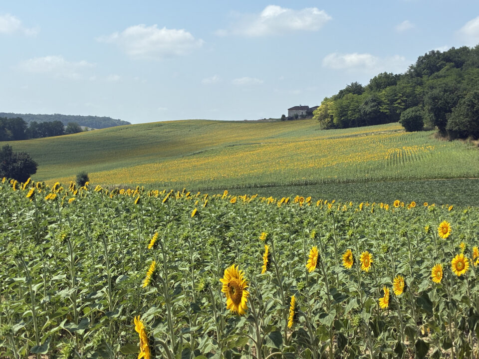 Cahors to Condom