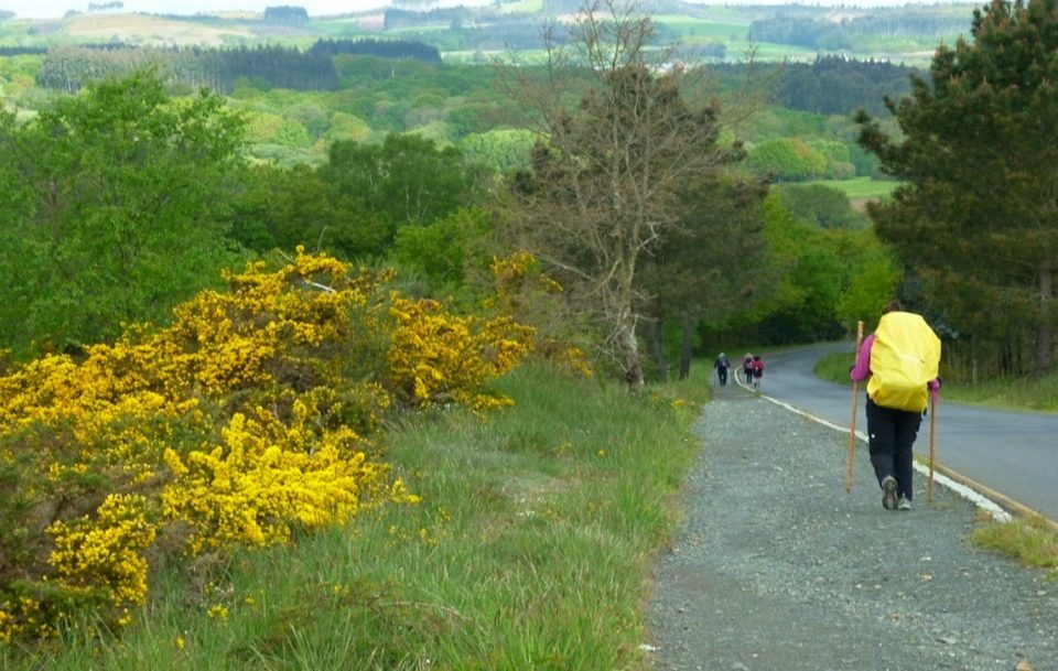 Camino De Santiago path Camino De Santiago path