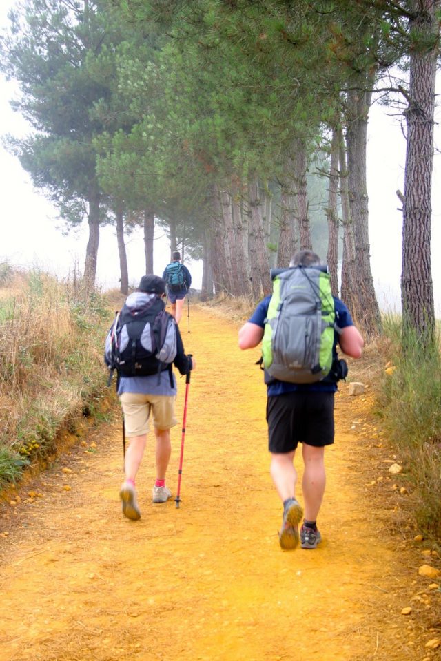 Hikers walking the Camino Hikers walking the Camino