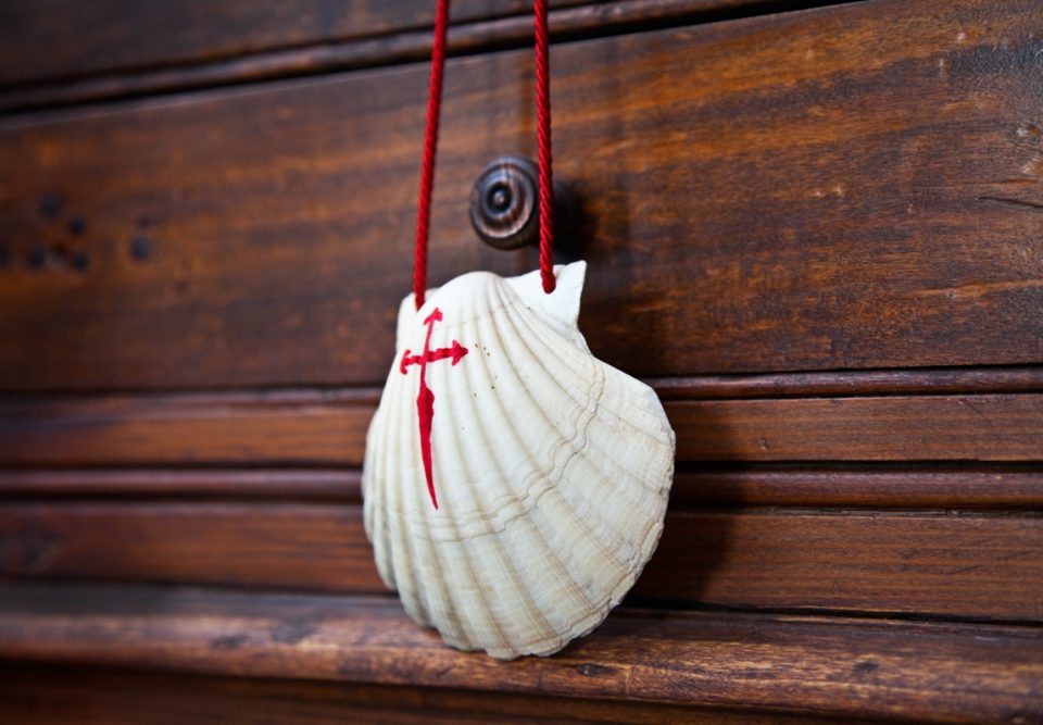 Scallop shell pilgrims carry along the Camino.