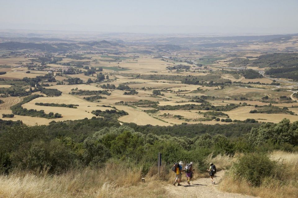 Walkers along Camino with path in the background winding through the fields