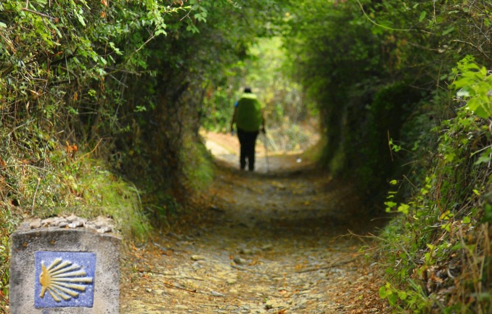 Hiker on Green tunnel path