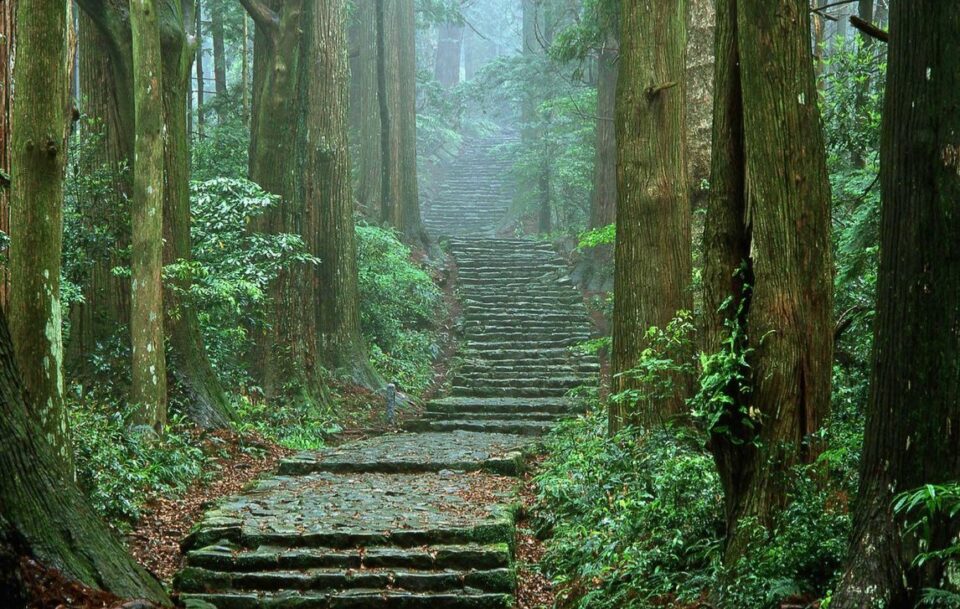 steps of Kumano Kodo