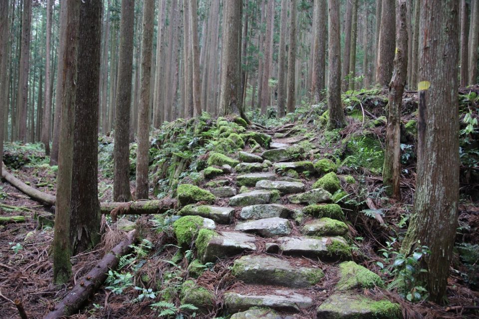 Kumano Kodo Steps