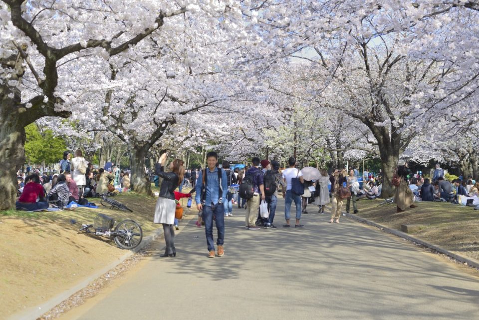 Koyasan and Kumano Kodo