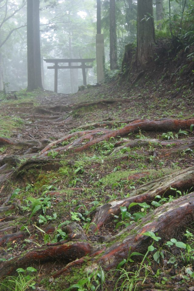 Kumano Kodo Tori gates into sacred areas
