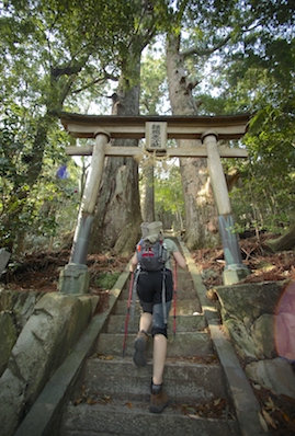 hiker walking up the steps of a sacred temple in a Japanese forest along the Kumano Kodo walking trail.
