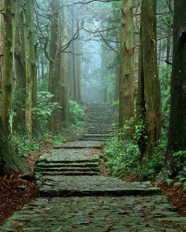 Kumano Kodo steps