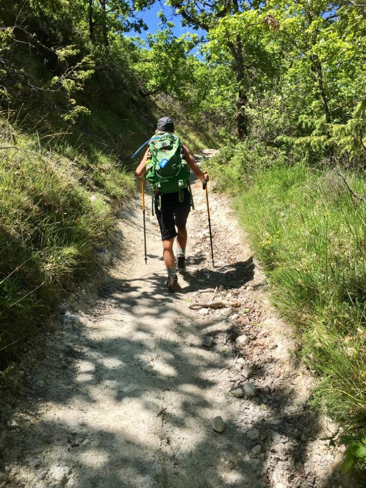 A hiker on the Le Puy walk.