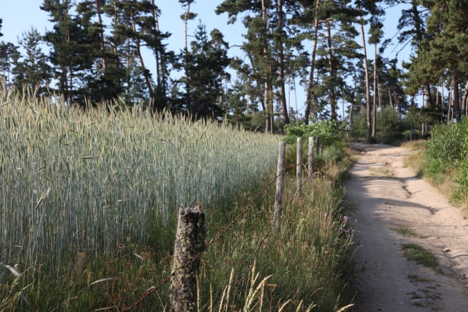Le _Puy_gallery0022 Le _Puy_gallery0022