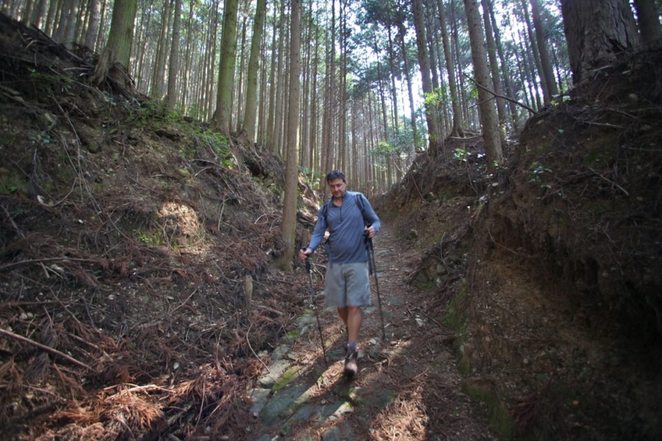 Kumano Kodo Trail