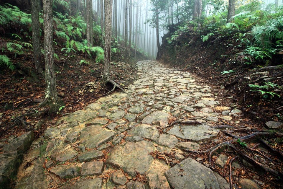 Kumano Kodo Trail