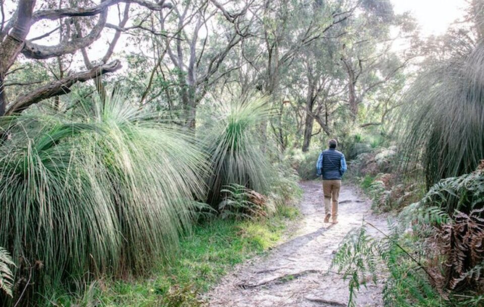 Walker along the Mornington Peninsula Trails
