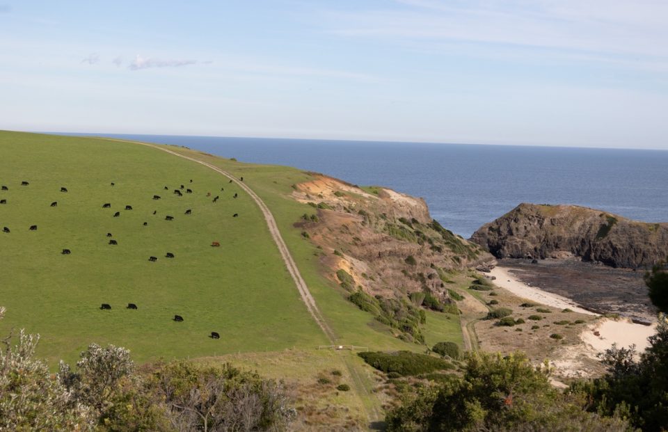 farmland edges the cliffs