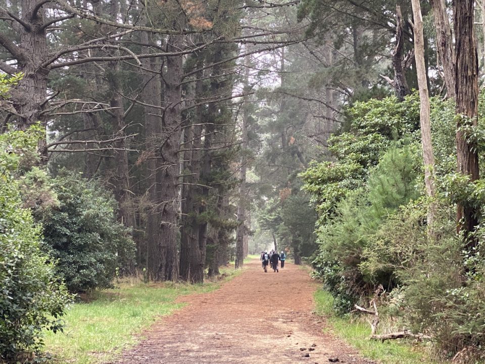 Walking trail Mornington Peninsula