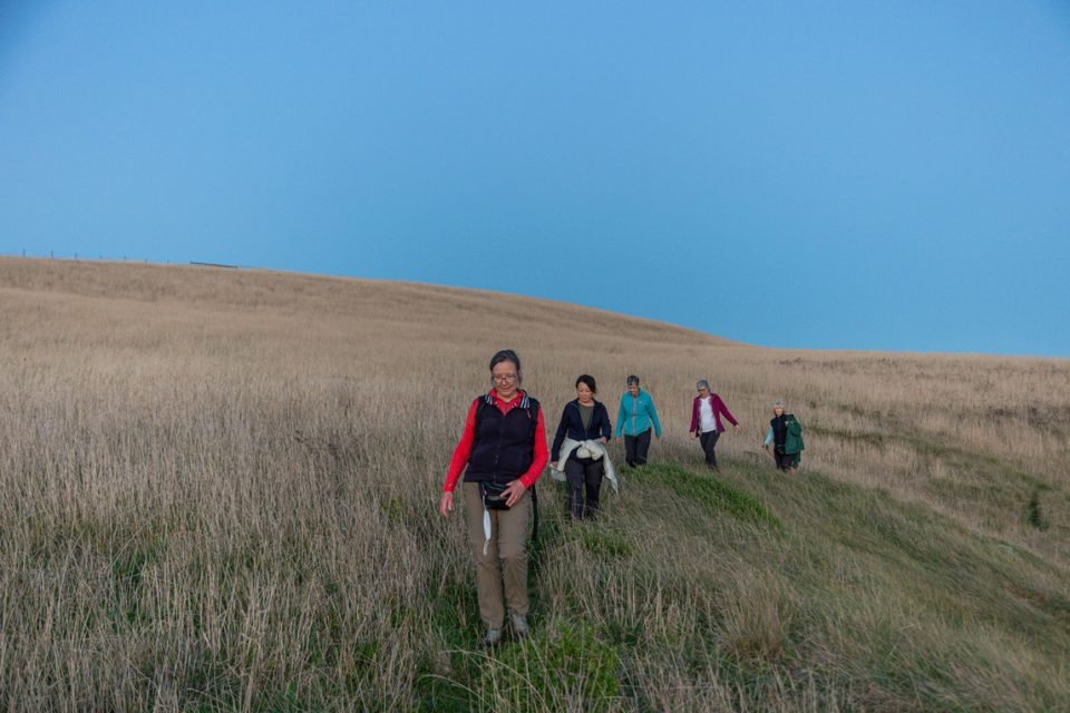 A trail of hikers along the path surrounded by tall grass